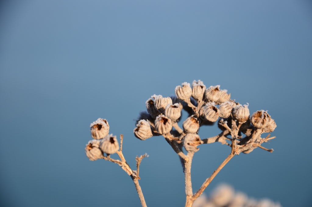 2016-12 France/St Malo/DSC_1052.JPG